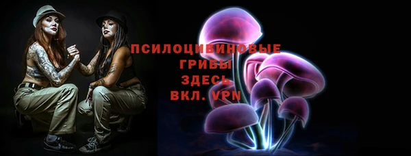твердый Арсеньев
