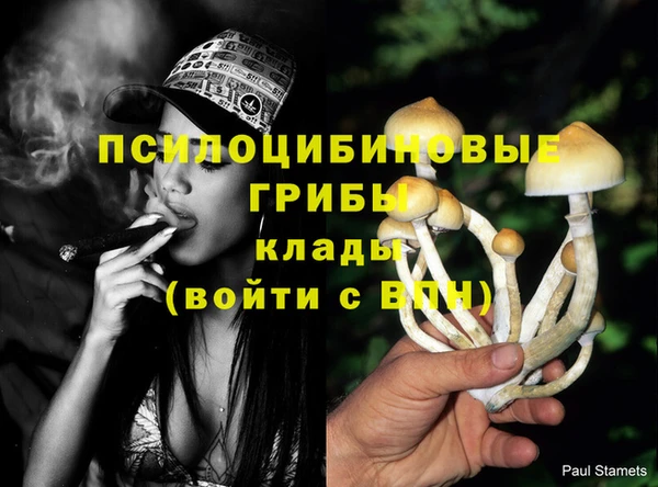 твердый Арсеньев
