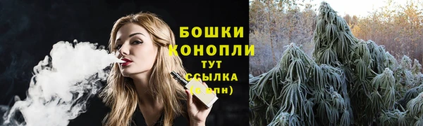 твердый Арсеньев