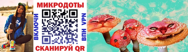 Псилоцибиновые грибы ЛСД  даркнет сайт  Сунжа 